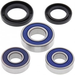 Kit rulmenti si garnituri roata All Balls Racing WB25-1082 Kit rulmenti si garnituri roata All Balls Racing WB25-1082