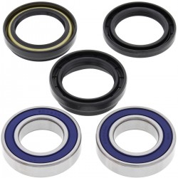 Kit rulmenti si garnituri roata All Balls Racing WB25-1108 Kit rulmenti si garnituri roata All Balls Racing WB25-1108