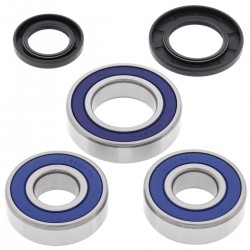 Kit rulmenti si garnituri roata All Balls Racing WB25-1110 Kit rulmenti si garnituri roata All Balls Racing WB25-1110