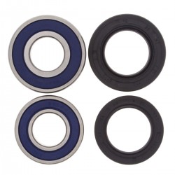 Kit rulmenti si garnituri roata All Balls Racing WB25-1113 Kit rulmenti si garnituri roata All Balls Racing WB25-1113