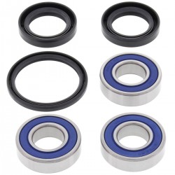 Kit rulmenti si garnituri roata All Balls Racing WB25-1115 Kit rulmenti si garnituri roata All Balls Racing WB25-1115