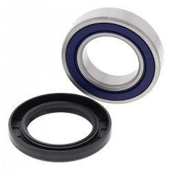 Kit rulmenti si garnituri roata All Balls Racing WB25-1118 Kit rulmenti si garnituri roata All Balls Racing WB25-1118