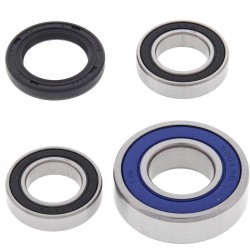 Kit rulmenti si garnituri roata All Balls Racing WB25-1162 Kit rulmenti si garnituri roata All Balls Racing WB25-1162