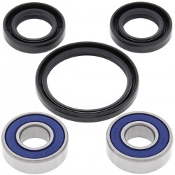 Kit rulmenti si garnituri roata All Balls Racing WB25-1187 Kit rulmenti si garnituri roata All Balls Racing WB25-1187