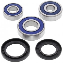 Kit rulmenti si garnituri roata All Balls Racing WB25-1234 Kit rulmenti si garnituri roata All Balls Racing WB25-1234