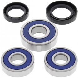 Kit rulmenti si garnituri roata All Balls Racing WB25-1355 Kit rulmenti si garnituri roata All Balls Racing WB25-1355