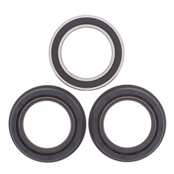 Kit rulmenti si garnituri roata All Balls Racing WB25-1365 Kit rulmenti si garnituri roata All Balls Racing WB25-1365