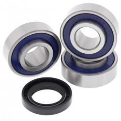 Kit rulmenti si garnituri roata All Balls Racing WB25-1366 Kit rulmenti si garnituri roata All Balls Racing WB25-1366