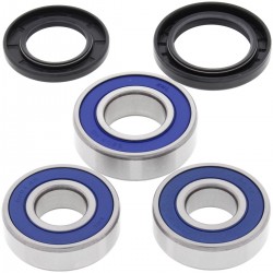 Kit rulmenti si garnituri roata All Balls Racing WB25-1386 Kit rulmenti si garnituri roata All Balls Racing WB25-1386