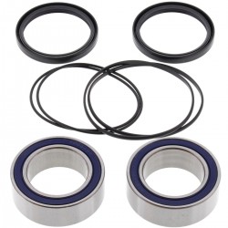Kit rulmenti si garnituri roata All Balls Racing WB25-1401 Kit rulmenti si garnituri roata All Balls Racing WB25-1401