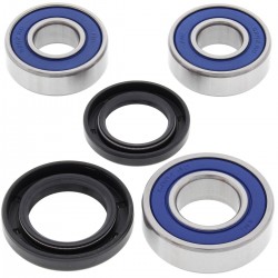 Kit rulmenti si garnituri roata All Balls Racing WB25-1411 Kit rulmenti si garnituri roata All Balls Racing WB25-1411