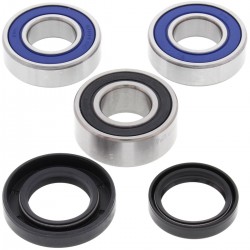 Kit rulmenti si garnituri roata All Balls Racing WB25-1418 Kit rulmenti si garnituri roata All Balls Racing WB25-1418