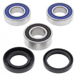 Kit rulmenti si garnituri roata All Balls Racing WB25-1419 Kit rulmenti si garnituri roata All Balls Racing WB25-1419