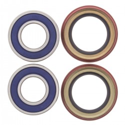 Kit rulmenti si garnituri roata All Balls Racing WB25-1431 Kit rulmenti si garnituri roata All Balls Racing WB25-1431