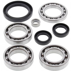 Kit rulmenti si garnituri diferential All Balls Racing DB25-2028 Kit rulmenti si garnituri diferential All Balls Racing DB25-2028