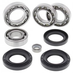 Kit rulmenti si garnituri diferential All Balls Racing DB25-2029 Kit rulmenti si garnituri diferential All Balls Racing DB25-2029