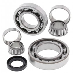 Kit rulmenti si garnituri diferential All Balls Racing DB25-2038 Kit rulmenti si garnituri diferential All Balls Racing DB25-2038