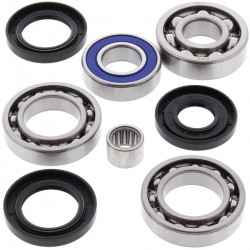 Kit rulmenti si garnituri diferential All Balls Racing DB25-2043 Kit rulmenti si garnituri diferential All Balls Racing DB25-2043