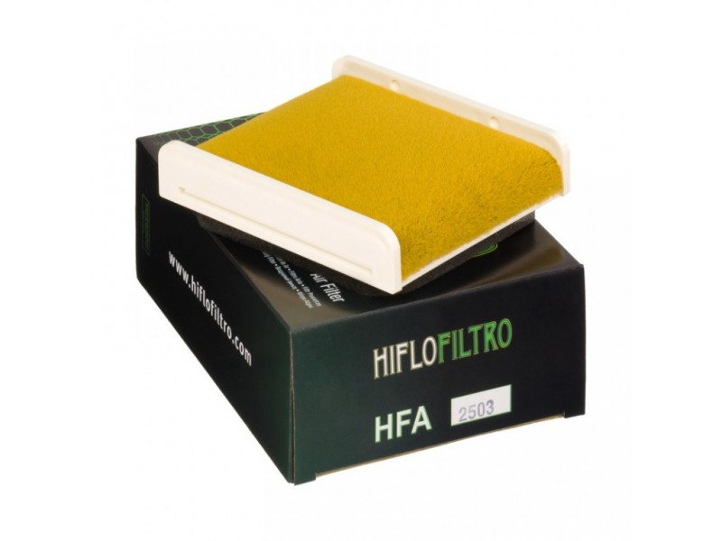 Filtru de aer HIFLOFILTRO HFA2503 Filtru de aer HIFLOFILTRO HFA2503
