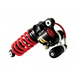 Rear Monoshock K-TECH DDS 255-013-250/010 PRO Rear Monoshock K-TECH DDS 255-013-250/010 PRO