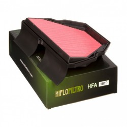 Filtru de aer HIFLOFILTRO HFA1619 Filtru de aer HIFLOFILTRO HFA1619