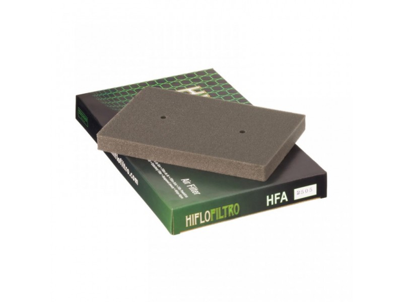 Filtru de aer HIFLOFILTRO HFA2505 Filtru de aer HIFLOFILTRO HFA2505