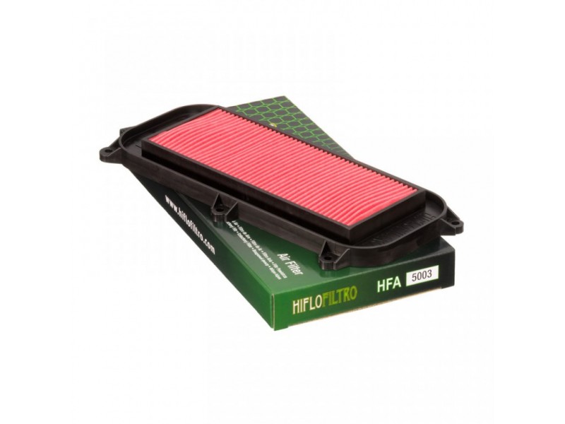 Filtru de aer HIFLOFILTRO HFA5003 Filtru de aer HIFLOFILTRO HFA5003