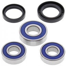 Kit rulmenti si garnituri roata All Balls Racing WB25-1650 Kit rulmenti si garnituri roata All Balls Racing WB25-1650