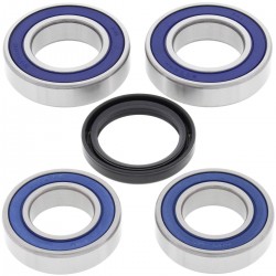 Kit rulmenti si garnituri roata All Balls Racing WB25-1668 Kit rulmenti si garnituri roata All Balls Racing WB25-1668