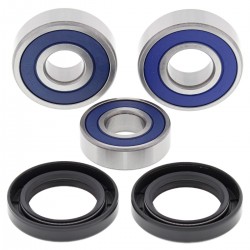 Kit rulmenti si garnituri roata All Balls Racing WB25-1674 Kit rulmenti si garnituri roata All Balls Racing WB25-1674