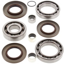 Kit rulmenti si garnituri diferential All Balls Racing DB25-2080 Kit rulmenti si garnituri diferential All Balls Racing DB25-2080
