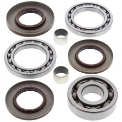 Kit rulmenti si garnituri diferential All Balls Racing DB25-2081 Kit rulmenti si garnituri diferential All Balls Racing DB25-2081