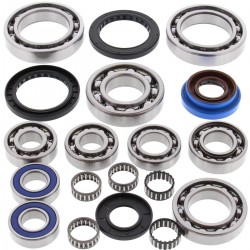Kit rulmenti si garnituri diferential All Balls Racing DB25-2089 Kit rulmenti si garnituri diferential All Balls Racing DB25-2089