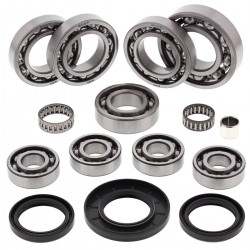 Kit rulmenti si garnituri diferential All Balls Racing DB25-2090 Kit rulmenti si garnituri diferential All Balls Racing DB25-2090