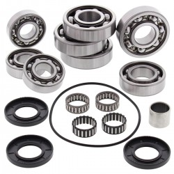 Kit rulmenti si garnituri diferential All Balls Racing DB25-2092 Kit rulmenti si garnituri diferential All Balls Racing DB25-2092