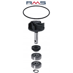 Set pompa de apa RMS 100110010 Set pompa de apa RMS 100110010