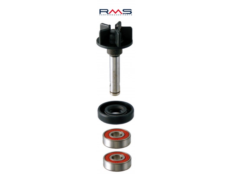 Set pompa de apa RMS 100110150 Set pompa de apa RMS 100110150