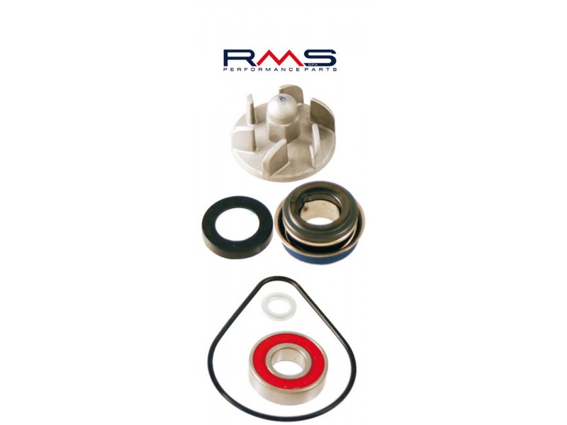 Set pompa de apa RMS 100110180 Set pompa de apa RMS 100110180