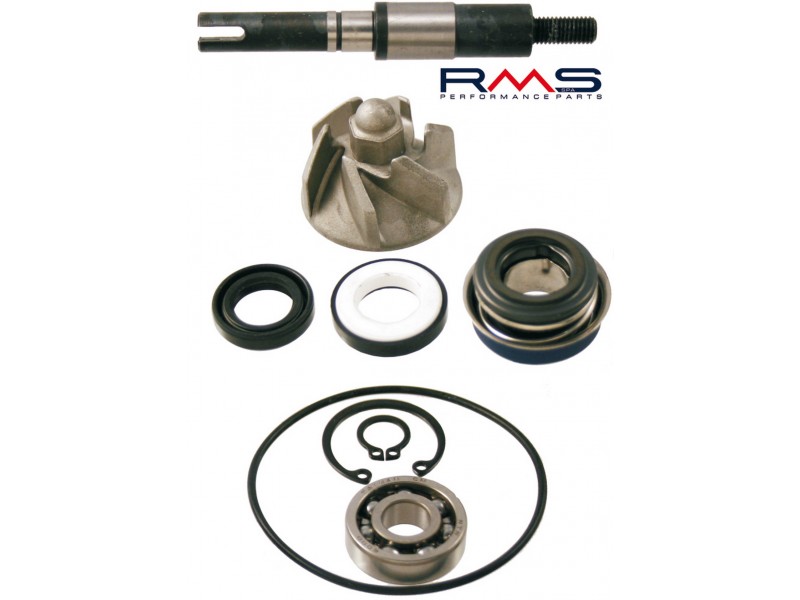 Set pompa de apa RMS 100110190 Set pompa de apa RMS 100110190