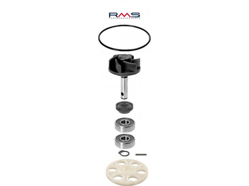 Set pompa de apa RMS 100110200 Set pompa de apa RMS 100110200