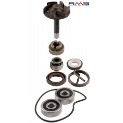 Set pompa de apa RMS 100110220 Set pompa de apa RMS 100110220
