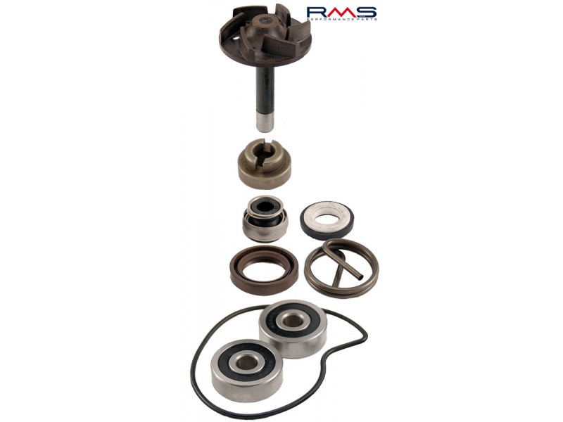 Set pompa de apa RMS 100110220 Set pompa de apa RMS 100110220