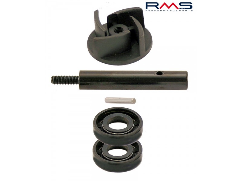 Set pompa de apa RMS 100110250 Set pompa de apa RMS 100110250