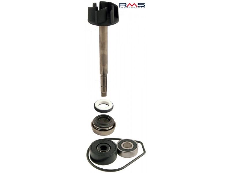 Set pompa de apa RMS 100110280 Set pompa de apa RMS 100110280