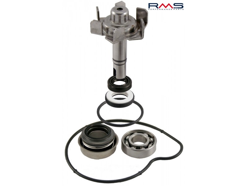 Set pompa de apa RMS 100110290