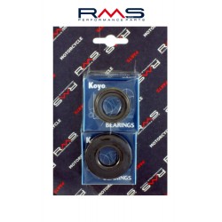 Crankshaft servicing kit RMS 100200340 Crankshaft servicing kit RMS 100200340