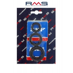Crankshaft servicing kit RMS 100200400 Crankshaft servicing kit RMS 100200400