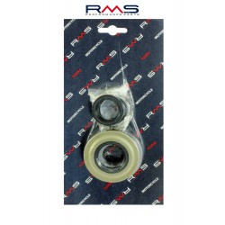 Crankshaft servicing kit RMS 100200730 Crankshaft servicing kit RMS 100200730