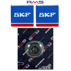 Crankshaft servicing kit RMS 100200780 Crankshaft servicing kit RMS 100200780