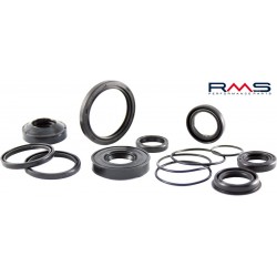 Oil seal RMS 100660870 17x28x5,5 Oil seal RMS 100660870 17x28x5,5